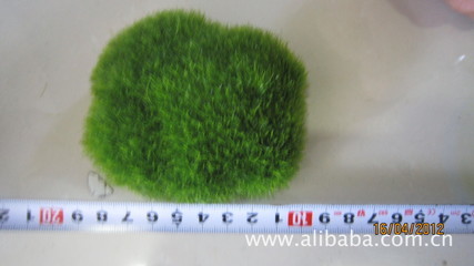 石頭-植絨石頭-禮品、工藝品、飾品-求購產(chǎn)品詳情