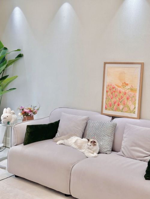 養貓人必看 顧家出色沙發幫你解決貓主子們抓沙發的困擾